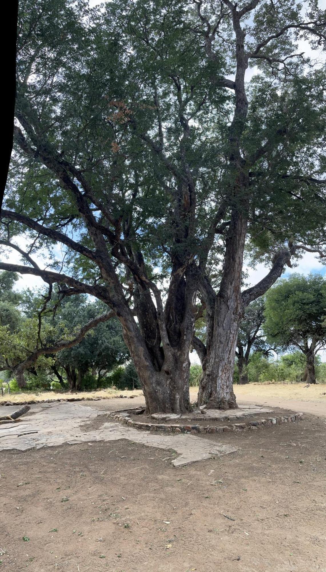 Limpokwena Nature Reserve Tokio Exterior photo